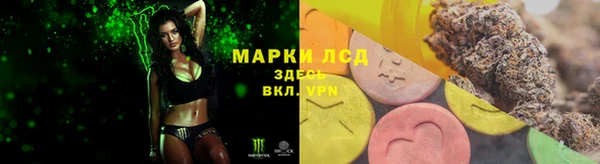стаф Арсеньев