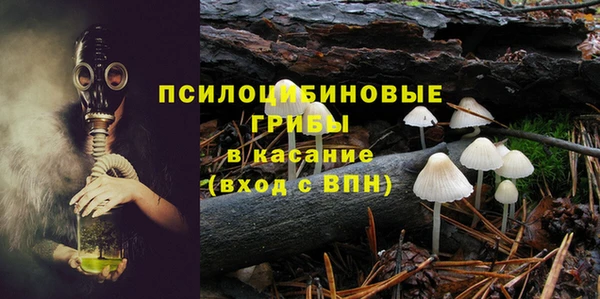 стаф Арсеньев