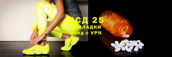 стаф Арсеньев