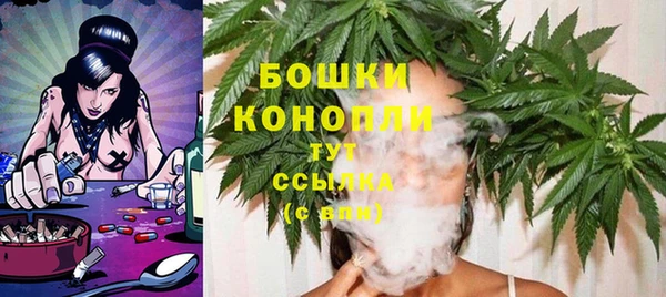 стаф Арсеньев
