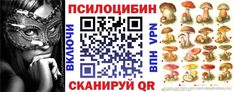 дарк нет формула  Зуевка  Галлюциногенные грибы Psilocybine cubensis 